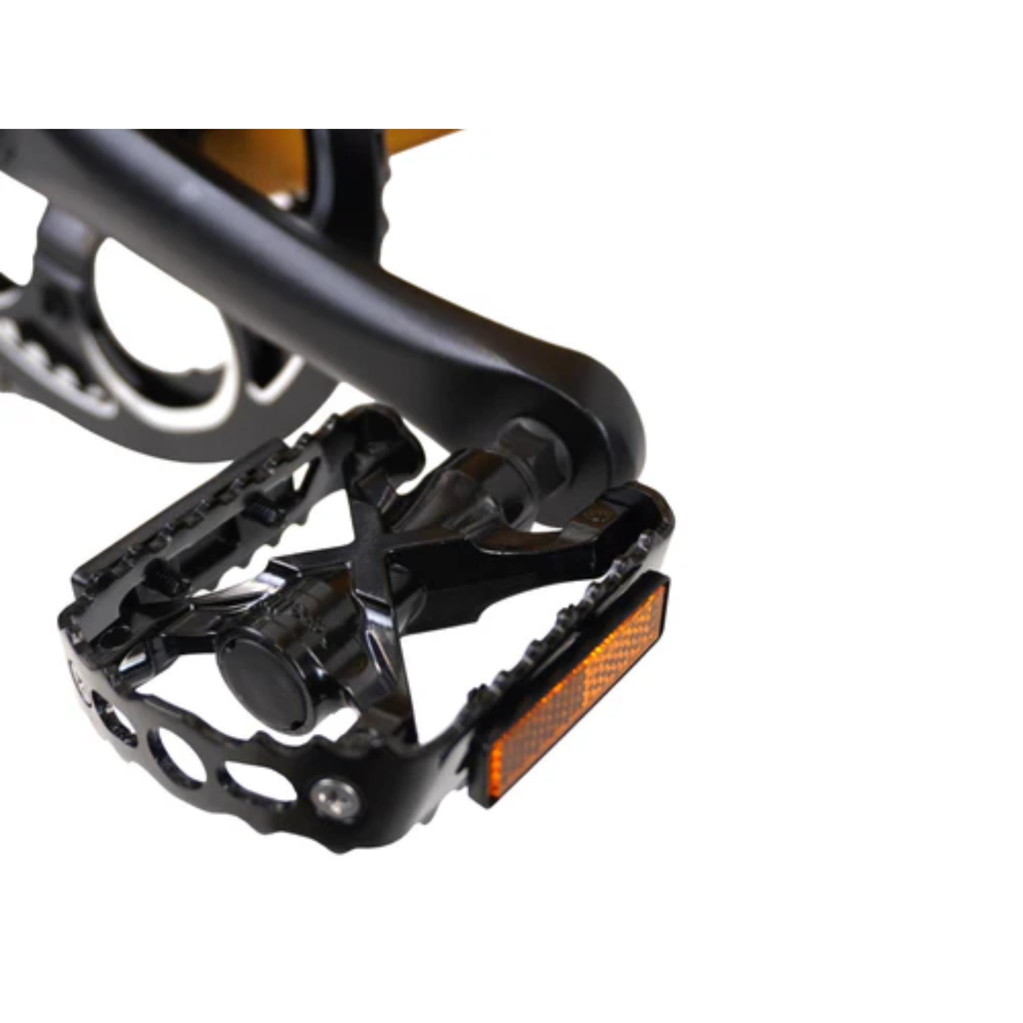 ENVO D50 - Electric Hardtail Mountain Bike